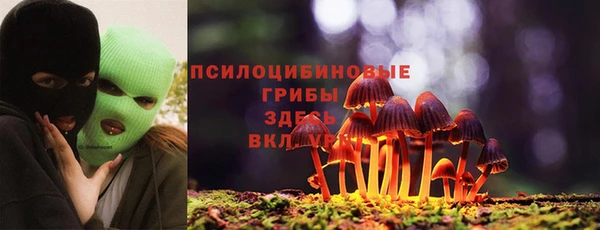 каннабис Болотное