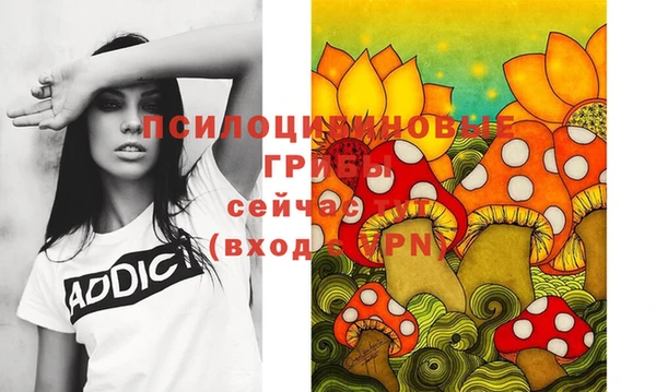 каннабис Болотное