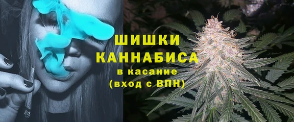 скорость Новодвинск