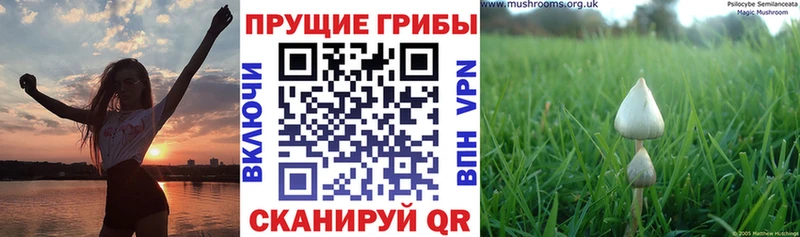 Псилоцибиновые грибы MAGIC MUSHROOMS  Ханты-Мансийск 